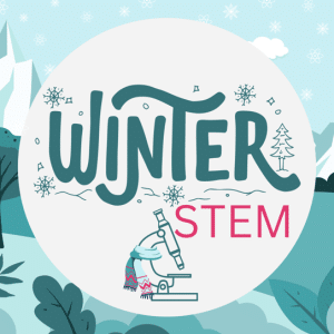 STEM Activities for Winter Holidays