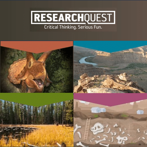 Free Resource For Science Teachers: Research Quest