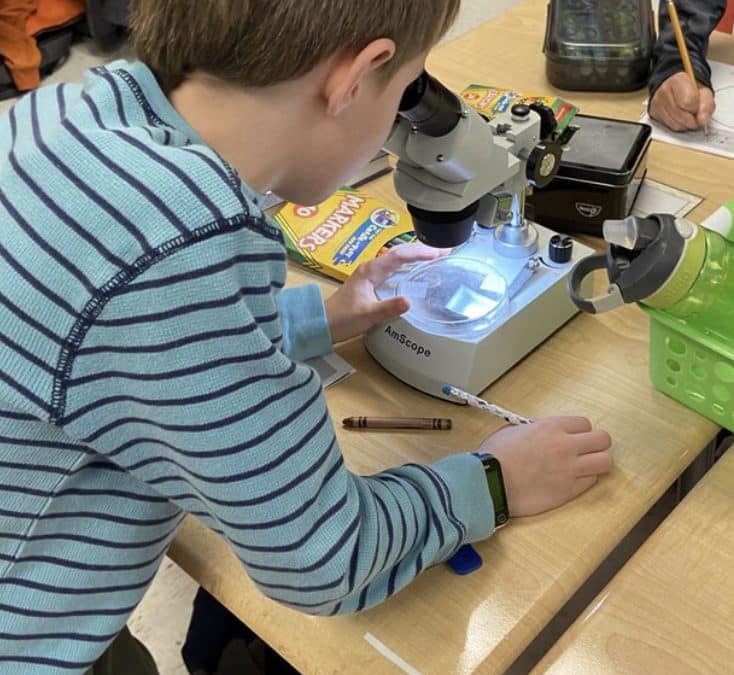 Using Microscopes (or Budget-Friendly Alternatives) to Teach Science in Elementary Classrooms