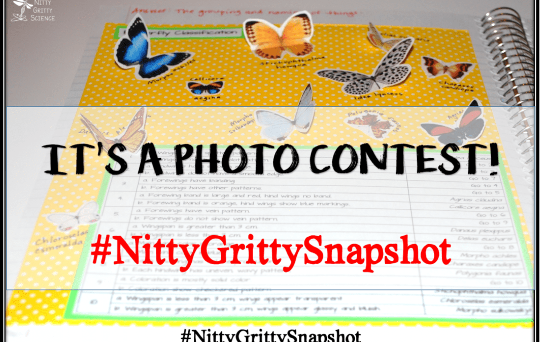 Nitty Gritty Science Photo Contest!