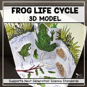 Make Amazing 3D Models in a Class Period!