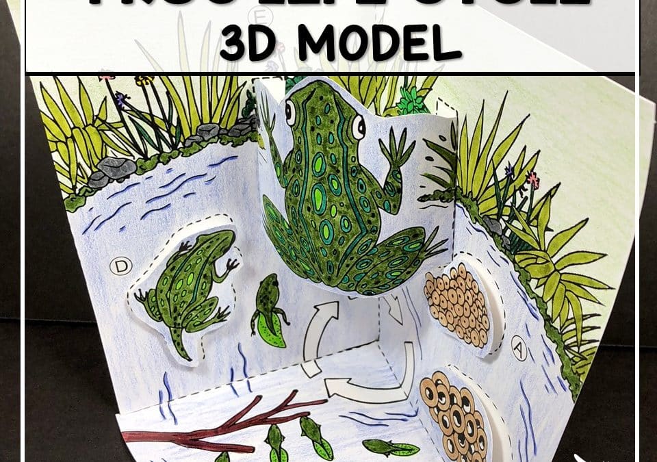 Make Amazing 3D Models in a Class Period!