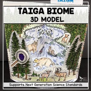 Taiga Biome 3D Model