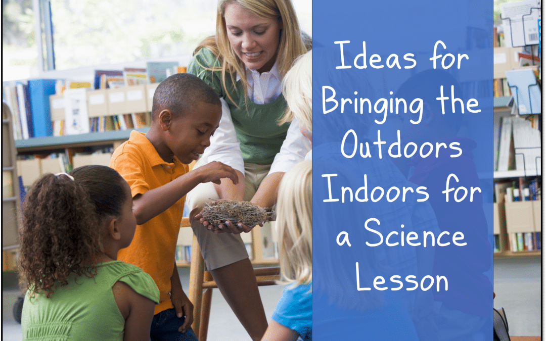 Ideas for Bringing the Outdoors Inside for a Science Lesson